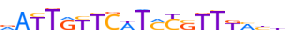 ZNF497.H13CORE.0.SG.A motif logo (ZNF497 gene, ZN497_HUMAN protein)