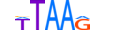 ZNF536.H13CORE.0.SGI.A motif logo (ZNF536 gene, ZN536_HUMAN protein)