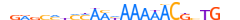 ZNF551.H13CORE.0.PSG.A motif logo (ZNF551 gene, ZN551_HUMAN protein)