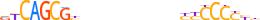 ZNF648.H13CORE.0.PSGI.A motif logo (ZNF648 gene, ZN648_HUMAN protein)