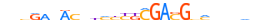 ZNF665.H13CORE.0.PSG.A motif logo (ZNF665 gene, ZN665_HUMAN protein)