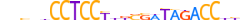 ZNF70.H13CORE.0.PSG.A motif logo (ZNF70 gene, ZNF70_HUMAN protein)