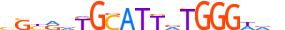 ZNF76.H13CORE.1.SM.B motif logo (ZNF76 gene, ZNF76_HUMAN protein)