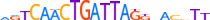 ZNF772.H13CORE.0.PG.A motif logo (ZNF772 gene, ZN772_HUMAN protein)