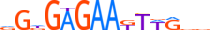 ZNF775.H13CORE.0.PSG.A motif logo (ZNF775 gene, ZN775_HUMAN protein)