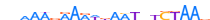 ZNF79.H13CORE.0.P.C motif logo (ZNF79 gene, ZNF79_HUMAN protein)