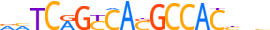 ZNF836.H13CORE.0.PSG.A motif logo (ZNF836 gene, ZN836_HUMAN protein)