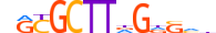 ZNF853.H13CORE.0.SG.A motif logo (ZNF853 gene, ZN853_HUMAN protein)