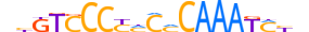 ZSA5A.H13CORE.0.SM.B motif logo (ZSCAN5A gene, ZSA5A_HUMAN protein)