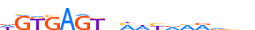 ZSA5C.H13CORE.0.P.C motif logo (ZSCAN5C gene, ZSA5C_HUMAN protein)