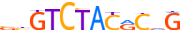 ZSC29.H13CORE.0.P.B motif logo (ZSCAN29 gene, ZSC29_HUMAN protein)