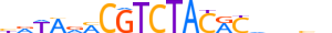 ZSC29.H13CORE.1.M.C motif logo (ZSCAN29 gene, ZSC29_HUMAN protein)