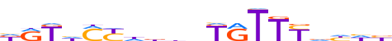 ANDR.H13INVITRO.2.P.B motif logo (AR gene, ANDR_HUMAN protein)