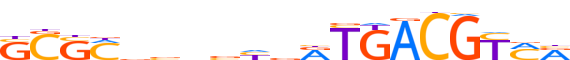 ATF1.H13INVITRO.1.P.D motif logo (ATF1 gene, ATF1_HUMAN protein)