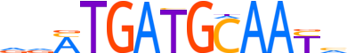 ATF4.H13INVITRO.0.P.B motif logo (ATF4 gene, ATF4_HUMAN protein)