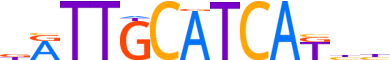 ATF4.H13INVITRO.0.P.B reverse-complement motif logo (ATF4 gene, ATF4_HUMAN protein)