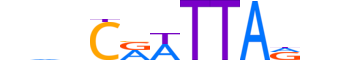 BARH2.H13INVITRO.0.SM.B motif logo (BARHL2 gene, BARH2_HUMAN protein)