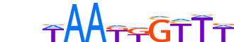 BARX1.H13INVITRO.0.P.C motif logo (BARX1 gene, BARX1_HUMAN protein)