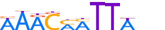 BARX1.H13INVITRO.0.P.C reverse-complement motif logo (BARX1 gene, BARX1_HUMAN protein)