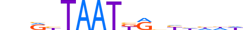 BARX1.H13INVITRO.1.S.B motif logo (BARX1 gene, BARX1_HUMAN protein)