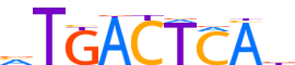 BATF3.H13INVITRO.1.P.B motif logo (BATF3 gene, BATF3_HUMAN protein)