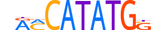 BHA15.H13INVITRO.1.SM.B motif logo (BHLHA15 gene, BHA15_HUMAN protein)