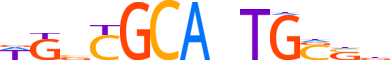 CAMTA2.H13INVITRO.0.PSGI.A motif logo (CAMTA2 gene, CMTA2_HUMAN protein)