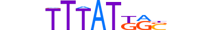 CDX1.H13INVITRO.1.S.B motif logo (CDX1 gene, CDX1_HUMAN protein)