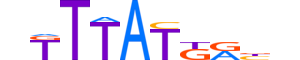 CDX2.H13INVITRO.0.PS.A motif logo (CDX2 gene, CDX2_HUMAN protein)