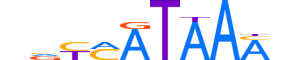 CDX2.H13INVITRO.0.PS.A reverse-complement motif logo (CDX2 gene, CDX2_HUMAN protein)