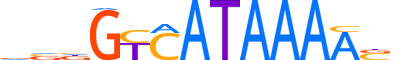 CDX4.H13INVITRO.0.S.C reverse-complement motif logo (CDX4 gene, CDX4_HUMAN protein)