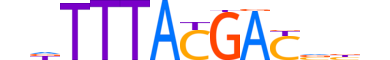 CDX4.H13INVITRO.1.M.C motif logo (CDX4 gene, CDX4_HUMAN protein)