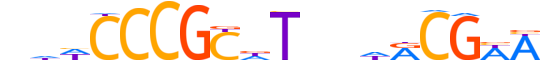 CENPB.H13INVITRO.0.S.B motif logo (CENPB gene, CENPB_HUMAN protein)