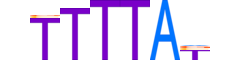 CPEB1.H13INVITRO.0.S.B motif logo (CPEB1 gene, CPEB1_HUMAN protein)