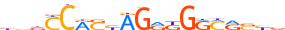 CTCF.H13INVITRO.0.P.B motif logo (CTCF gene, CTCF_HUMAN protein)