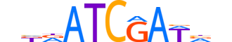 CUX2.H13INVITRO.1.SM.B reverse-complement motif logo (CUX2 gene, CUX2_HUMAN protein)