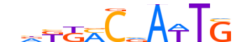 DACH2.H13INVITRO.0.S.B motif logo (DACH2 gene, DACH2_HUMAN protein)