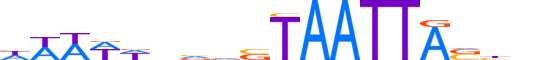 DLX2.H13INVITRO.1.S.B motif logo (DLX2 gene, DLX2_HUMAN protein)