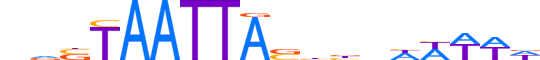 DLX2.H13INVITRO.1.S.B reverse-complement motif logo (DLX2 gene, DLX2_HUMAN protein)