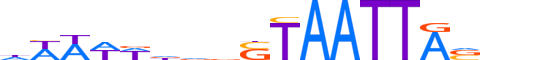 DLX4.H13INVITRO.1.S.C motif logo (DLX4 gene, DLX4_HUMAN protein)