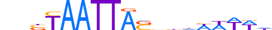 DLX4.H13INVITRO.1.S.C reverse-complement motif logo (DLX4 gene, DLX4_HUMAN protein)