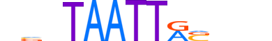 DLX5.H13INVITRO.0.PSM.A motif logo (DLX5 gene, DLX5_HUMAN protein)