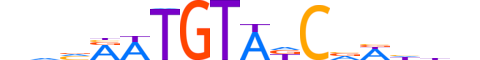 DMRT1.H13INVITRO.0.PS.A reverse-complement motif logo (DMRT1 gene, DMRT1_HUMAN protein)