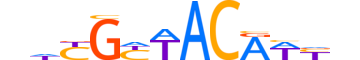 DMRT1.H13INVITRO.1.M.C motif logo (DMRT1 gene, DMRT1_HUMAN protein)