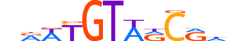 DMRT1.H13INVITRO.1.M.C reverse-complement motif logo (DMRT1 gene, DMRT1_HUMAN protein)