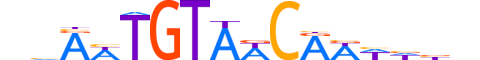 DMRTA.H13INVITRO.0.SM.B motif logo (DMRTA1 gene, DMRTA_HUMAN protein)