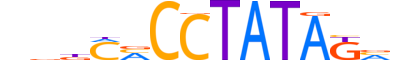 DPF1.H13INVITRO.0.SM.B motif logo (DPF1 gene, DPF1_HUMAN protein)