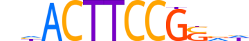 ELF5.H13INVITRO.1.S.B reverse-complement motif logo (ELF5 gene, ELF5_HUMAN protein)