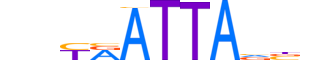 ESX1.H13INVITRO.0.SM.B motif logo (ESX1 gene, ESX1_HUMAN protein)