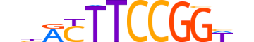 ETV2.H13INVITRO.0.S.B reverse-complement motif logo (ETV2 gene, ETV2_HUMAN protein)